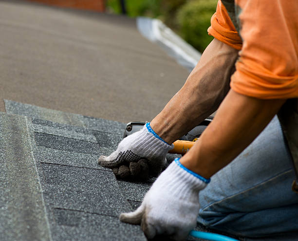 Best Gutter Installation and Roofing  in Larksville, PA